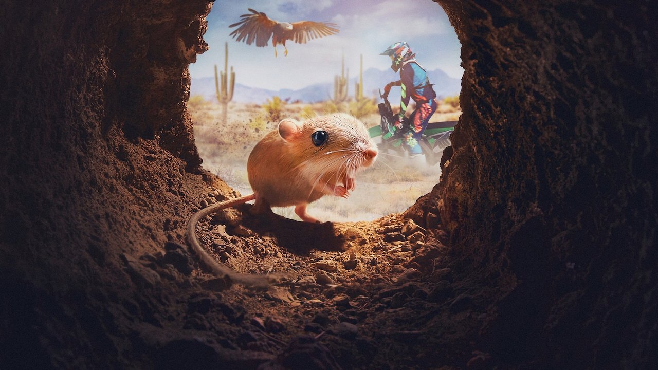 Tiny Creatures (2020) series backdrop artwork