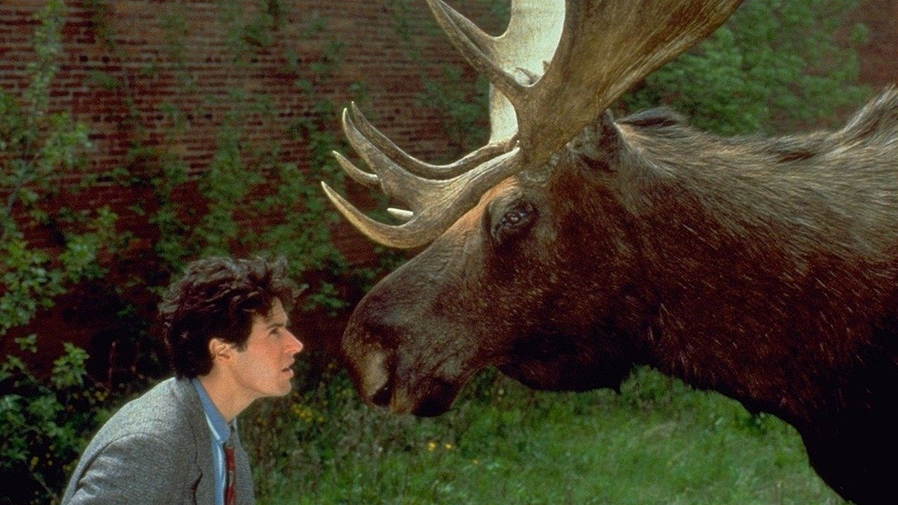 Northern Exposure (1990) series backdrop artwork