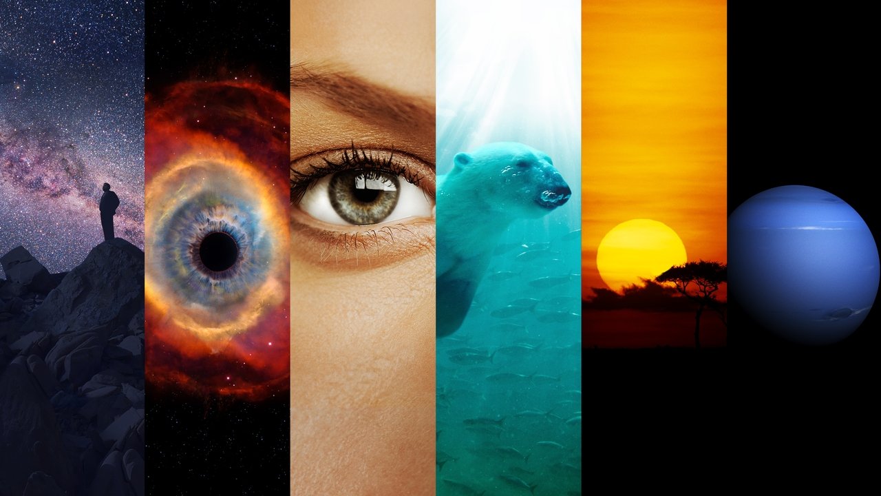Cosmos (2014) series backdrop artwork