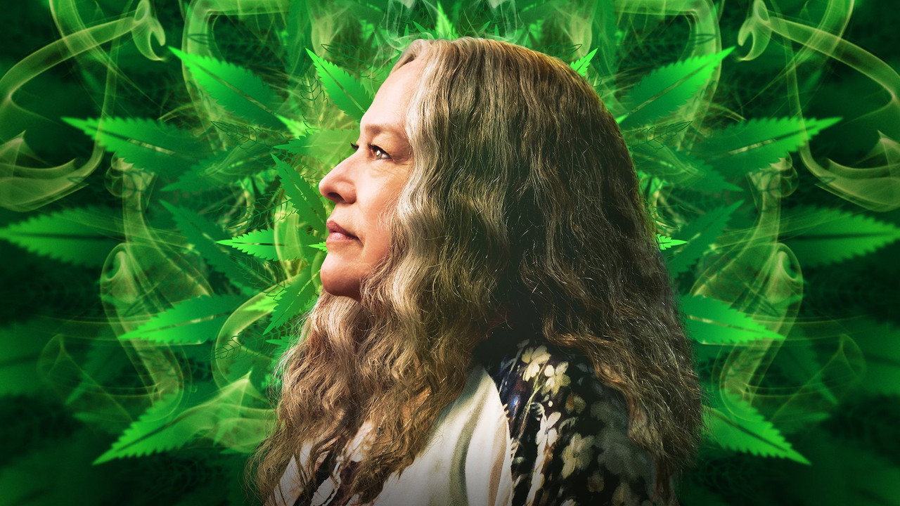 Disjointed (2017) series backdrop artwork