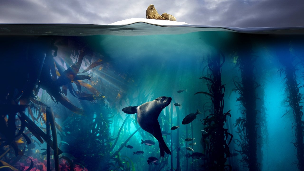 Blue Planet II (2017) series backdrop artwork