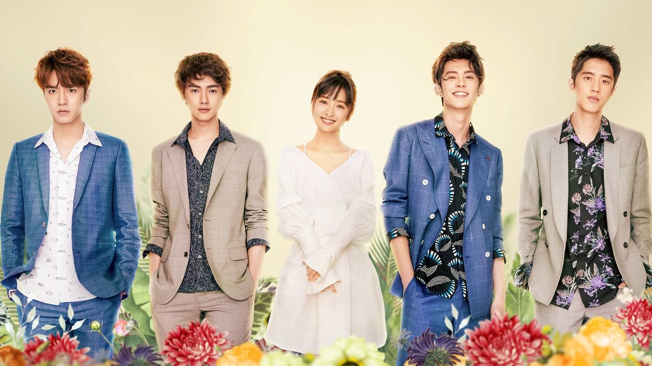 Meteor Garden (2018) series backdrop artwork