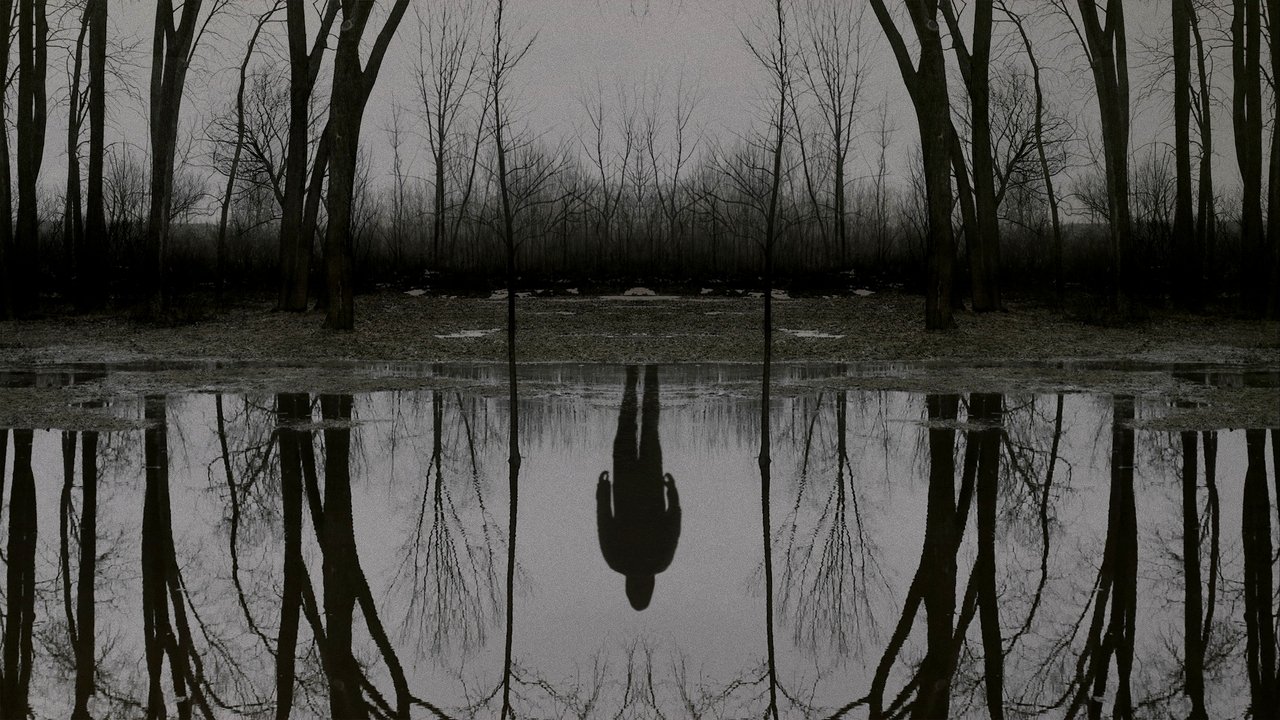 The Outsider (2020) series backdrop artwork