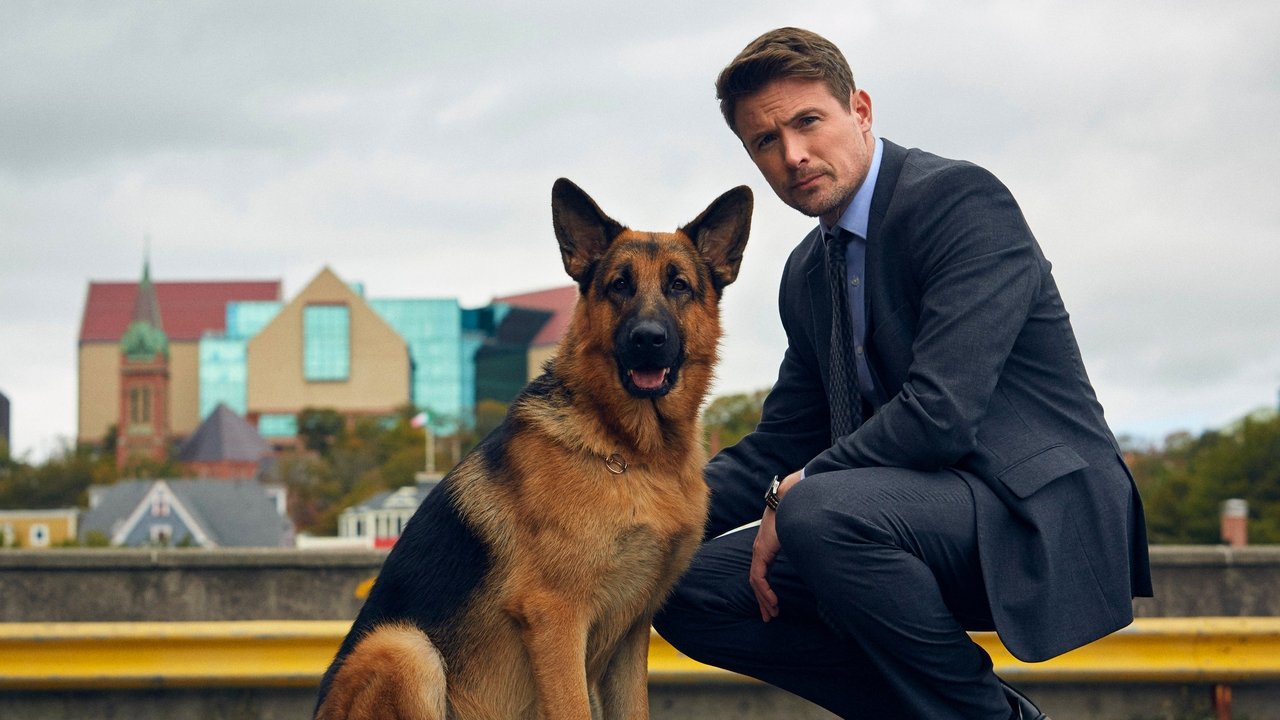 Hudson & Rex (2019) series backdrop artwork