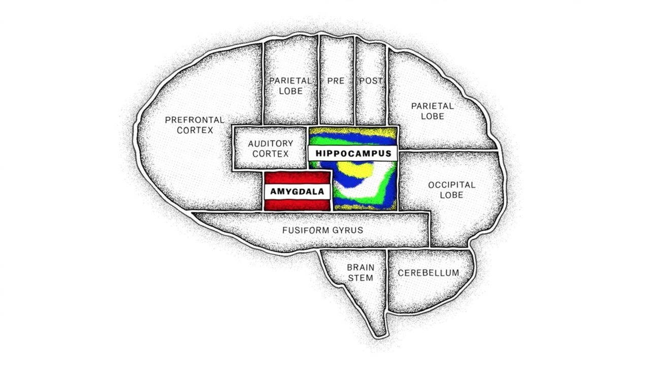 The Mind, Explained (2019) series backdrop artwork