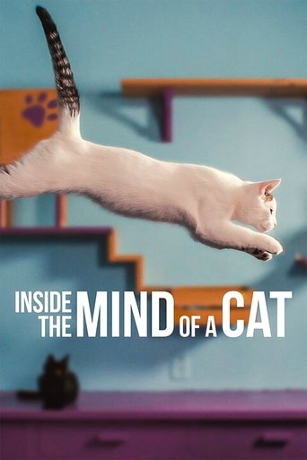 Inside the Mind of a Cat (2022) movie poster