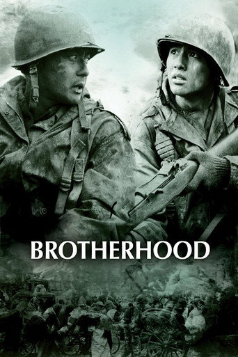 Tae Guk Gi: The Brotherhood of War (2004) movie poster