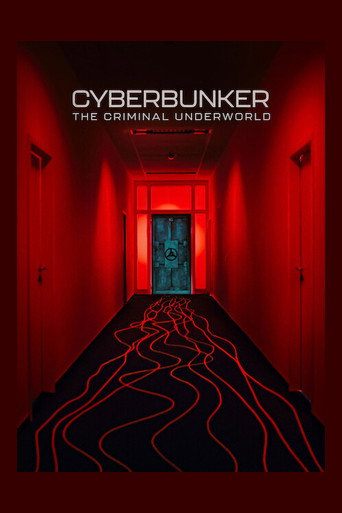 Cyberbunker: The Criminal Underworld (2023) movie poster