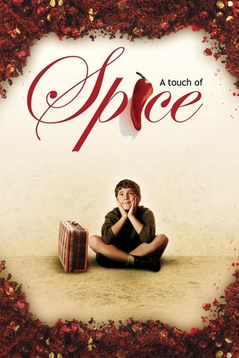 A Touch of Spice (2003) movie poster