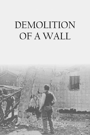 Demolition of a Wall (1896) movie poster