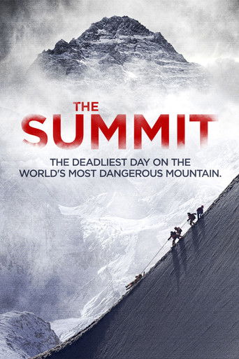 The Summit (2013) movie poster