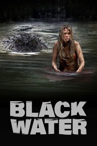 Black Water (2008) movie poster