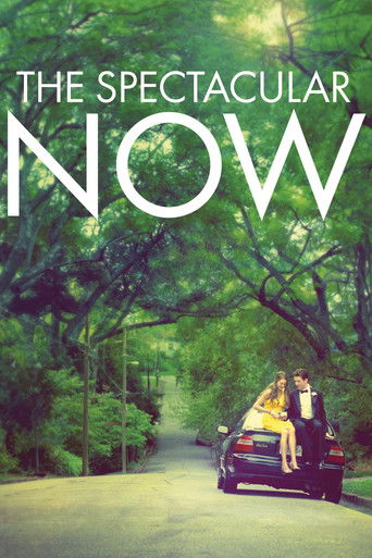 The Spectacular Now (2013) movie poster