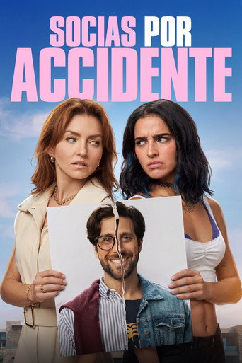 Accidental Partners (2026) movie poster