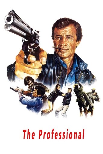 The Professional (1981) movie poster