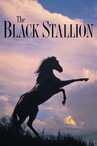 The Black Stallion (1979) movie poster