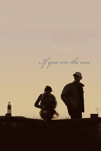 If You Are the One (2008) movie poster