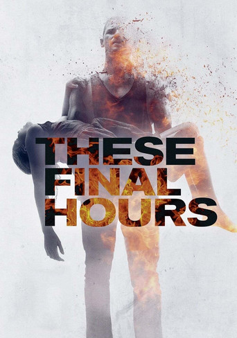 These Final Hours (2014) movie poster