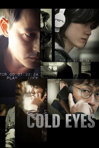 Cold Eyes (2013) movie poster