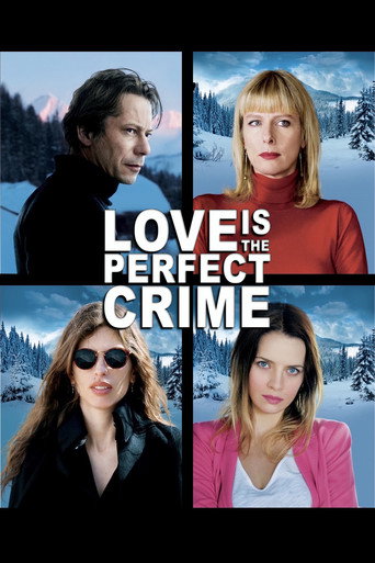 Love Is the Perfect Crime (2013) movie poster