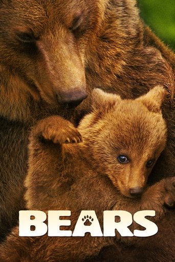 Bears (2014) movie poster