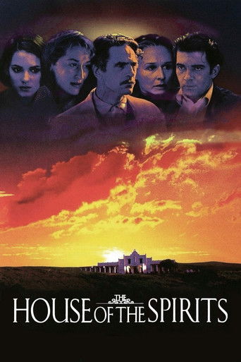 The House of the Spirits (1993) movie poster