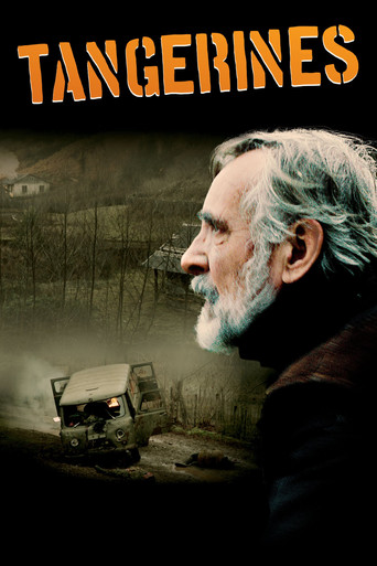 Tangerines (2013) movie poster