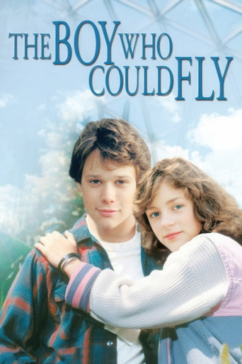 The Boy Who Could Fly (1986) movie poster