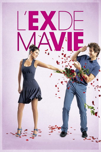 Divorce French Style (2014) movie poster