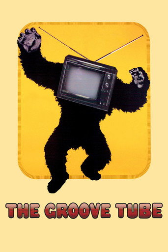 The Groove Tube (1974) movie poster