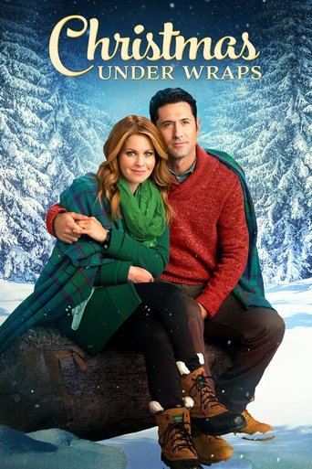 Christmas Under Wraps (2014) movie poster