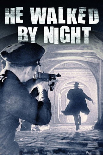 He Walked by Night (1949) movie poster