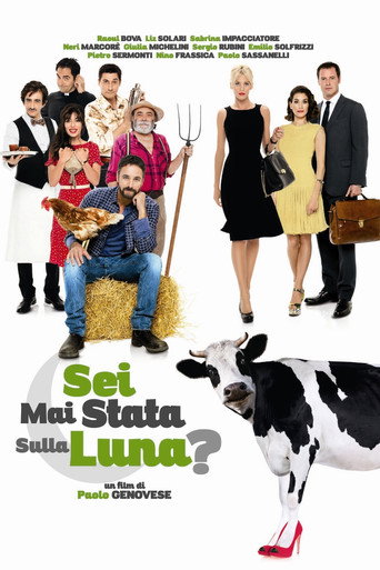 Ever Been to the Moon? (2015) movie poster