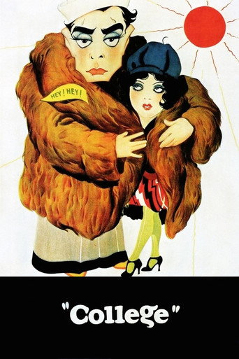College (1927) movie poster
