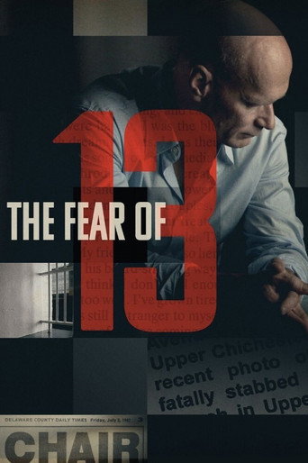 The Fear of 13 (2015) movie poster