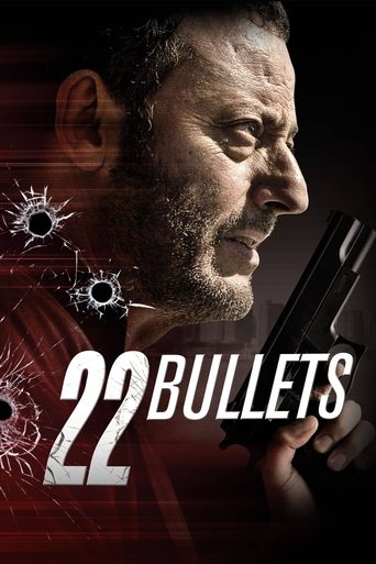 22 Bullets (2010) movie poster