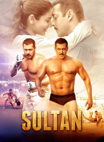 Sultan (2016) movie poster