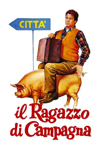 The Country Boy (1984) movie poster