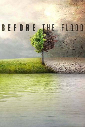 Before the Flood (2016) movie poster