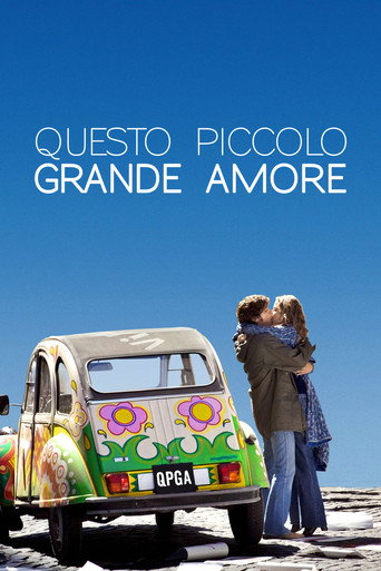 Questo piccolo grande amore (2009) movie poster