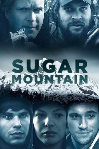 Sugar Mountain (2016) movie poster