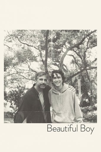 Beautiful Boy (2018) movie poster
