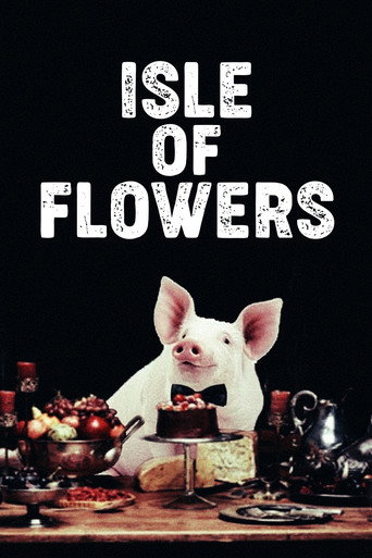 Isle of Flowers (1989) movie poster