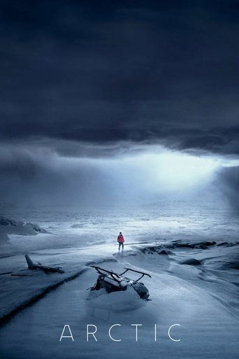 Arctic (2018) movie poster