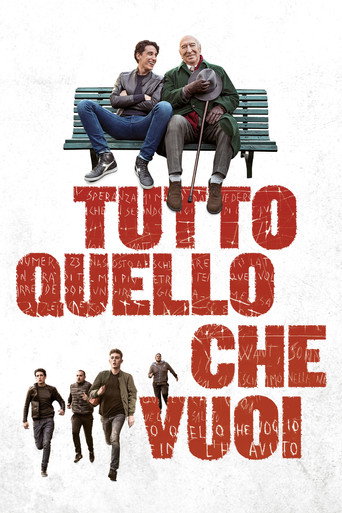 Everything You Want (2017) movie poster