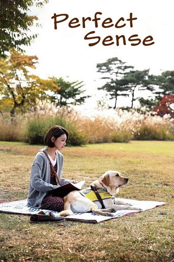 Perfect Sense (2016) movie poster