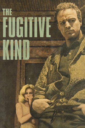 The Fugitive Kind (1960) movie poster