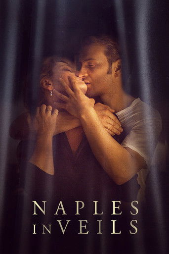 Naples in Veils (2017) movie poster
