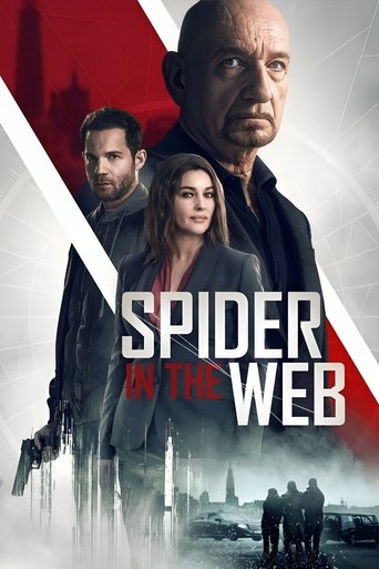 Spider in the Web (2019) movie poster