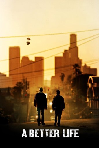A Better Life (2011) movie poster